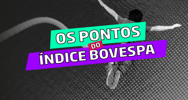 os pontos do índice bovespa na bolsa de valores