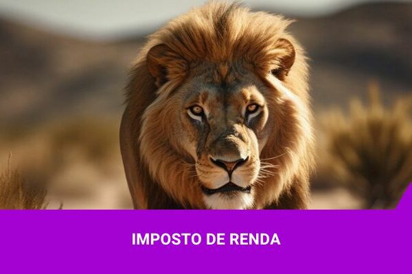 Os Melhores Investimentos - Imposto de Renda