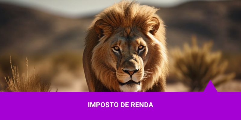 Imposto-de-Renda-e-Aplicação-em-Imposto-de-Renda-_CAPA Os Melhores Investimentos - Imposto de Renda