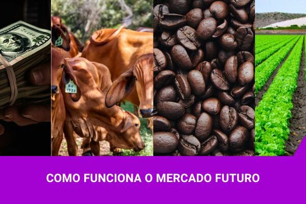 Os melhores Investimentos - Mercado Futuro