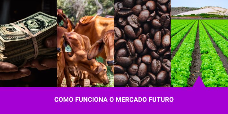 como-funciona-o-mercado-futuro-_capa Os melhores Investimentos - Mercado Futuro