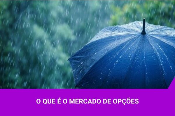 os melhores investimentos mercado de opções de compra e venda