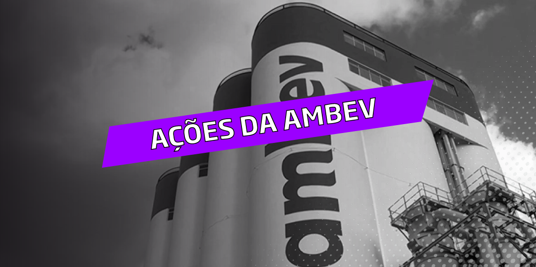Os melhores Investimentos - Ações da Ambev