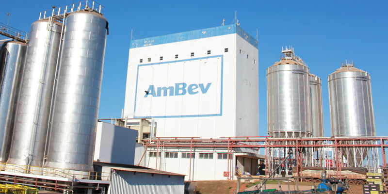 Os Melhores Investimentos - Ações Ambev