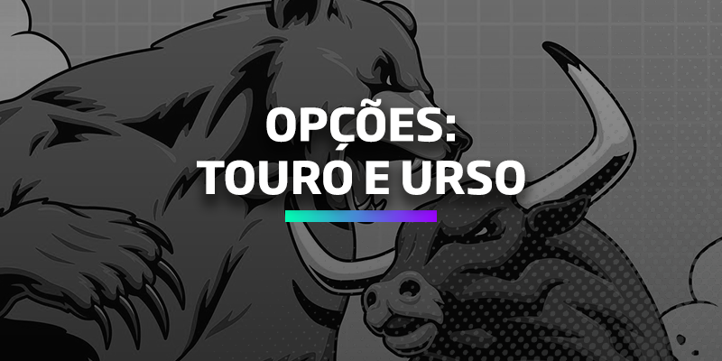 Opções Touro e Urso - Os Melhores Investimentos
