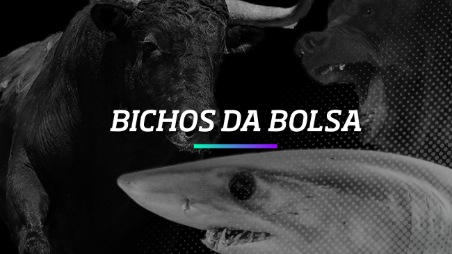 Bichos da Bolsa de Valores – Os Melhores Investimentos Bichos da Bolsa de Valores - Os Melhores Investimentos