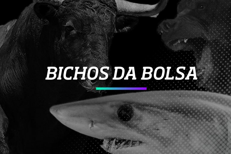 Bichos da Bolsa de Valores - Os Melhores Investimentos