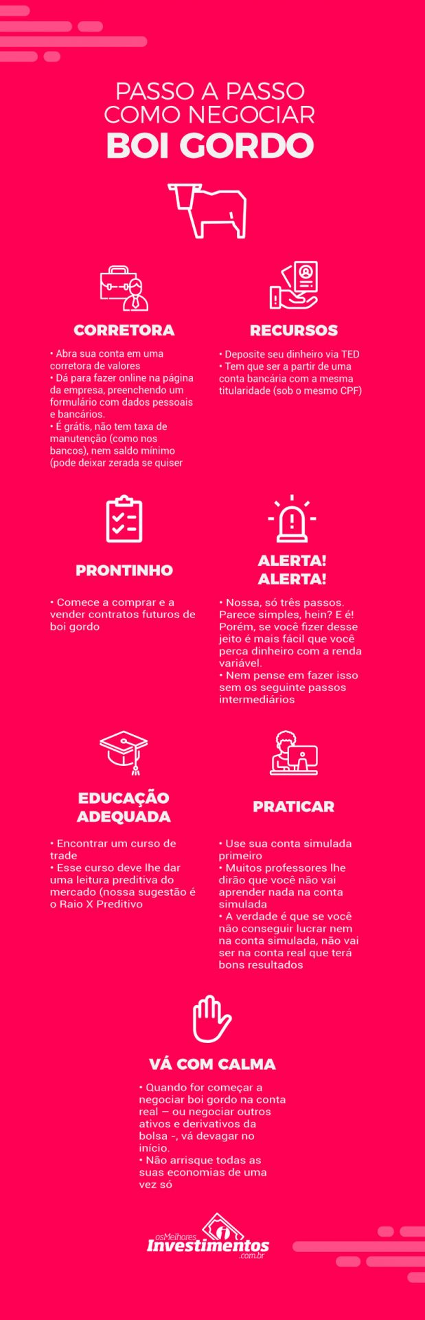 Infográfico Como Investir em Boi Gordo - Os Melhores Investimentos