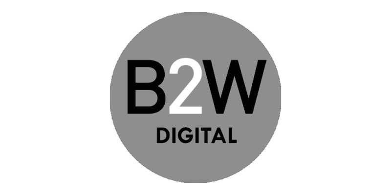 Os Melhores Investimentos - Ações da B2W Digital