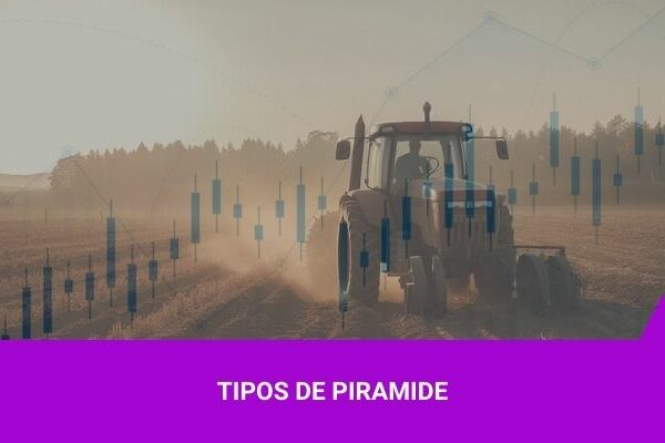 LCA - Os Melhores Investimentos