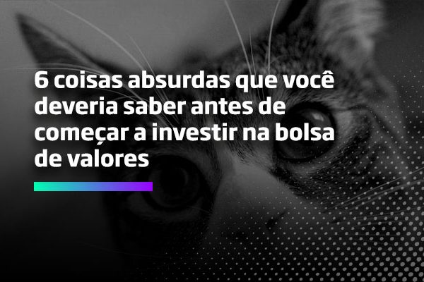 Os Melhores Investimentos - 6 coisas absurdas que você deveria saber antes de começar a investir na bolsa de valores