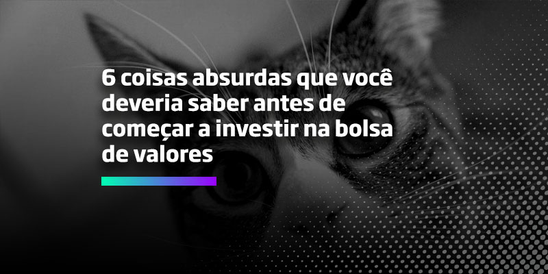 Os Melhores Investimentos - 6 coisas absurdas que você deveria saber antes de começar a investir na bolsa de valores