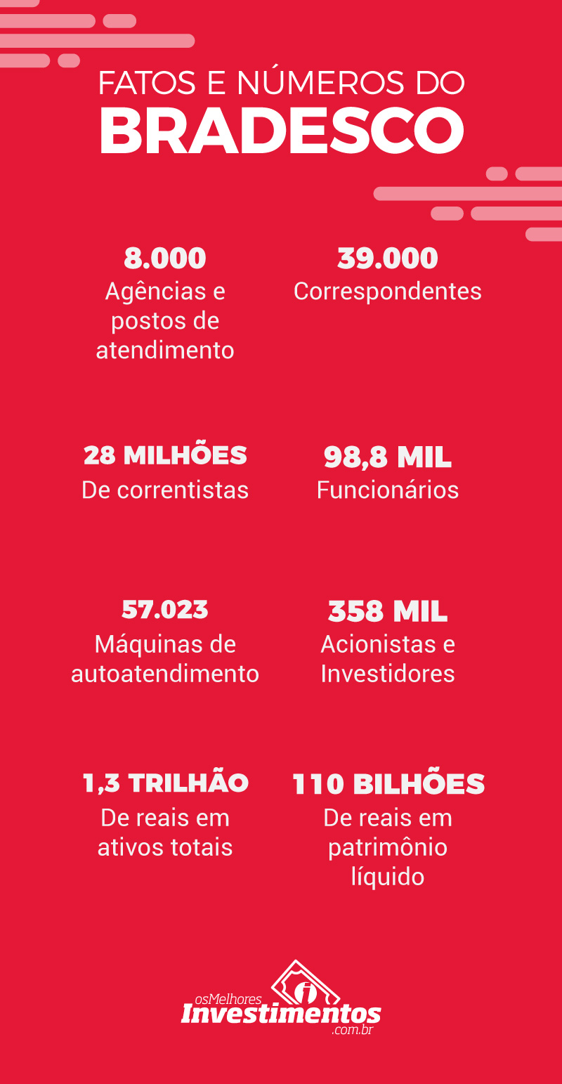 infográfico Ações do Bradesco - Os Melhores Investimentos