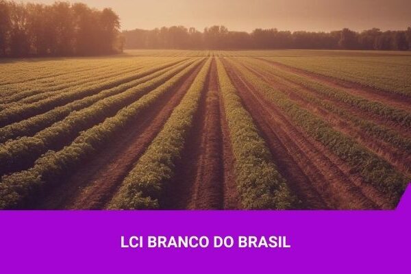 LCA do Banco do Brasil - Os Melhores Investimentos