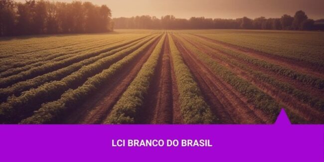 LCA do Banco do Brasil – Os Melhores Investimentos LCA do Banco do Brasil - Os Melhores Investimentos