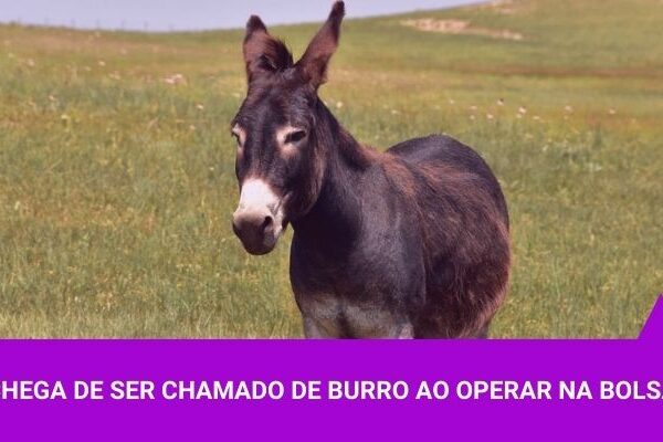 Chega de ser chamado de burro ao operar na Bolsa - Os Melhores Investimentos