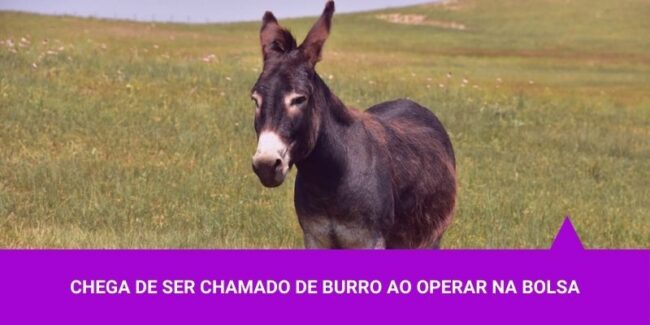 Chega de ser chamado de burro ao operar na Bolsa – Os Melhores Investimentos Chega de ser chamado de burro ao operar na Bolsa - Os Melhores Investimentos