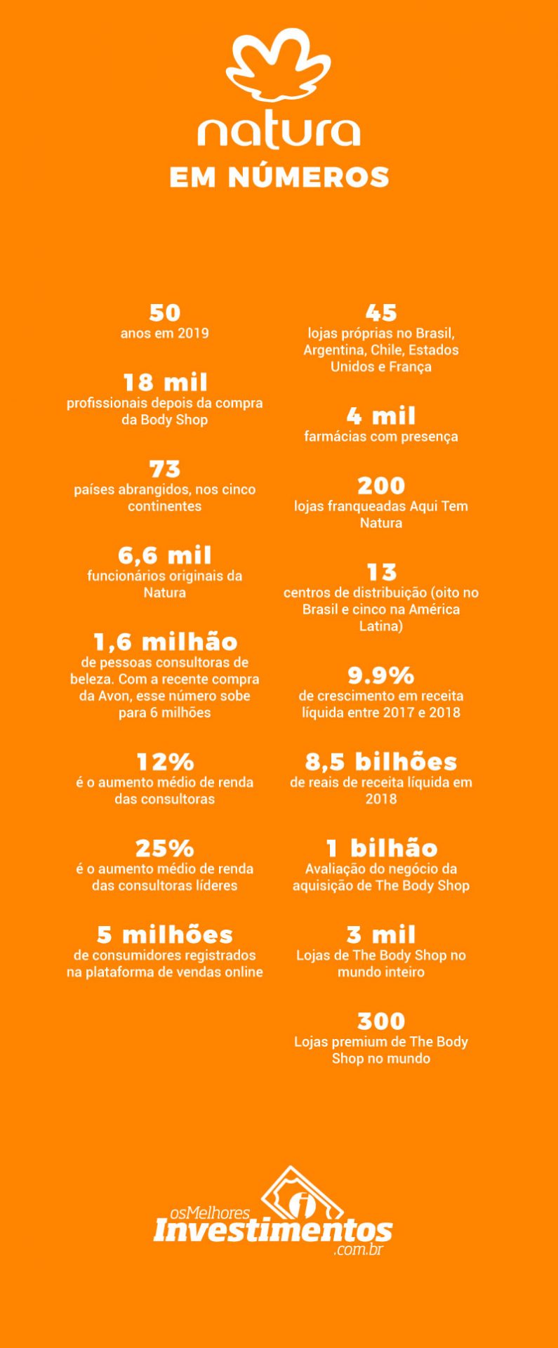 Infográfico Ações da Natura - Os Melhores Investimentos