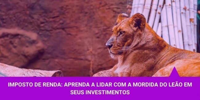 Imposto de Renda – Os Melhores Investimentos Imposto de Renda - Os Melhores Investimentos