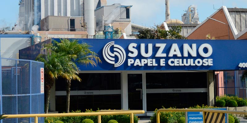 Os Melhores Investimentos - Ações da Suzano