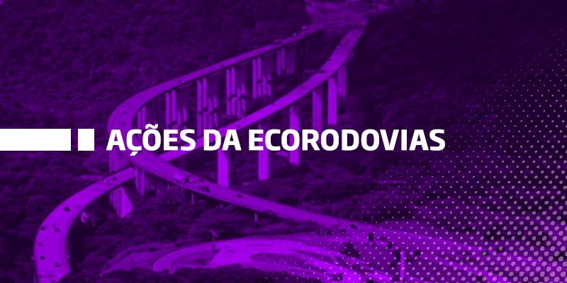 Os Melhores Investimentos - Ações da EcoRodovias