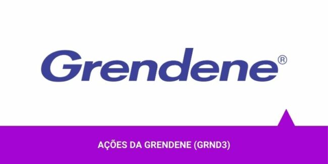 Ações da Grendene Os Melhores Investimentos - Ações da Grendene