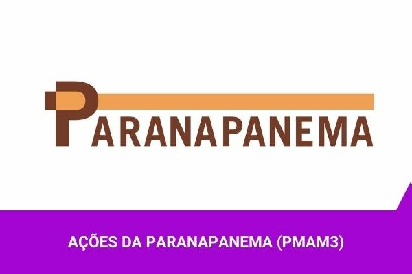 Ações da Paranapanema - Os Melhores Investimentos