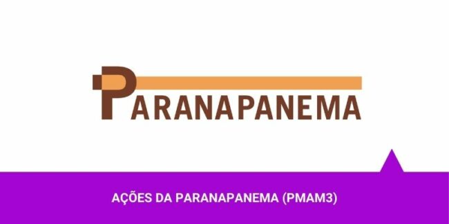 Ações da Paranapanema – Os Melhores Investimentos Ações da Paranapanema - Os Melhores Investimentos