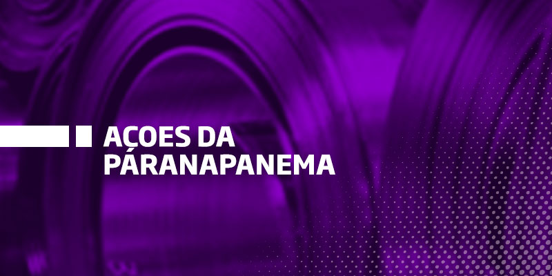 Ações da Paranapanema - Os Melhores Investimentos