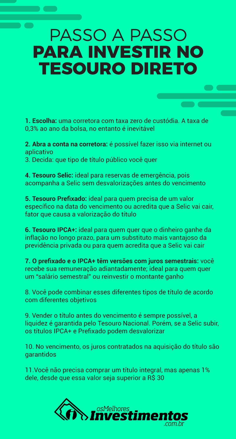 Passo a Passo para investir no Tesouro Direto - Os Melhores Investimentos