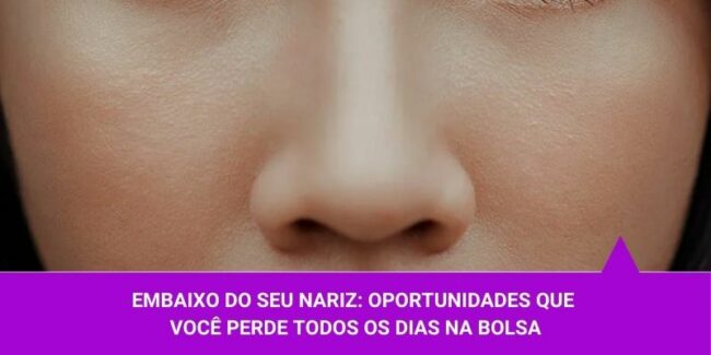 Embaixo do seu nariz oportunidades que você perde todos os dias na bolsa – Os Melhores Investimentos Embaixo do seu nariz oportunidades que você perde todos os dias na bolsa - Os Melhores Investimentos
