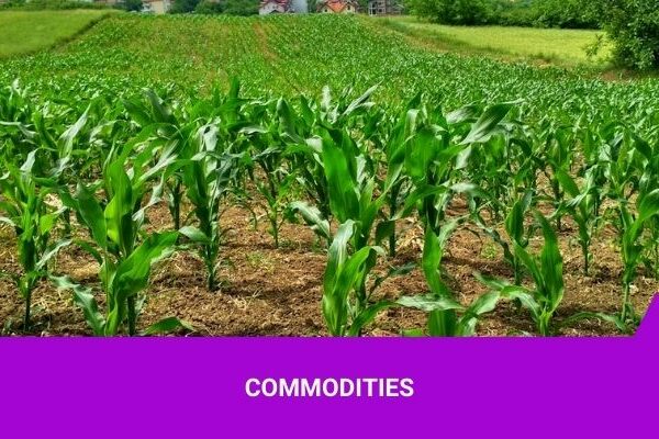 Commodities - Os Melhores Investimentos