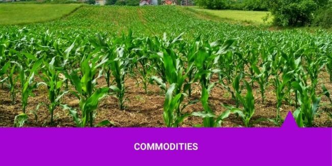 Commodities – Os Melhores Investimentos Commodities - Os Melhores Investimentos