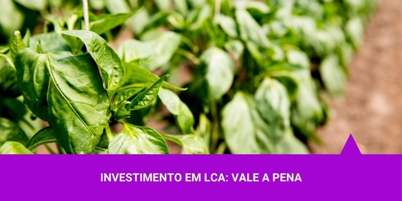 Os Melhores Investimentos – Investimento em LCA