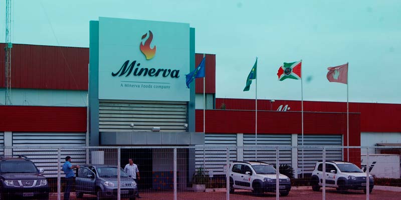 Os Melhores Investimentos - Ações da Minerva Foods