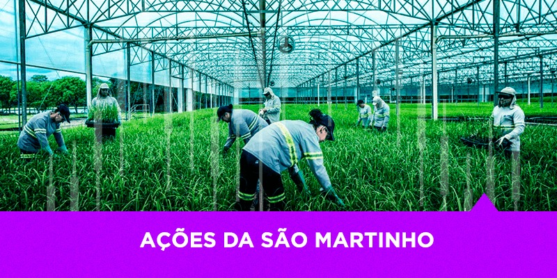 Ações da São Martinho - Os Melhores Investimentos