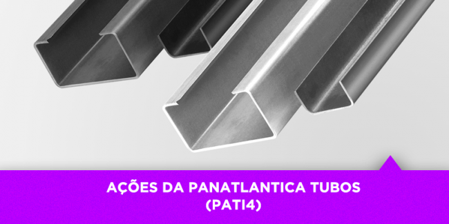 Os Melhores Investimentos – Ações da Panatlantica