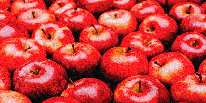 Ações da Pomi Frutas - Os Melhores Investimentos