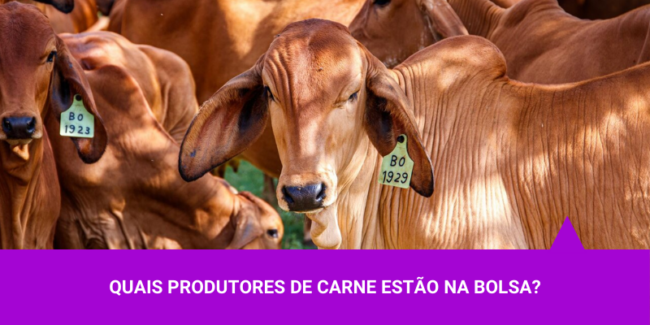 Quais produtores de carne estão na bolsa – Os Melhores Investimentos