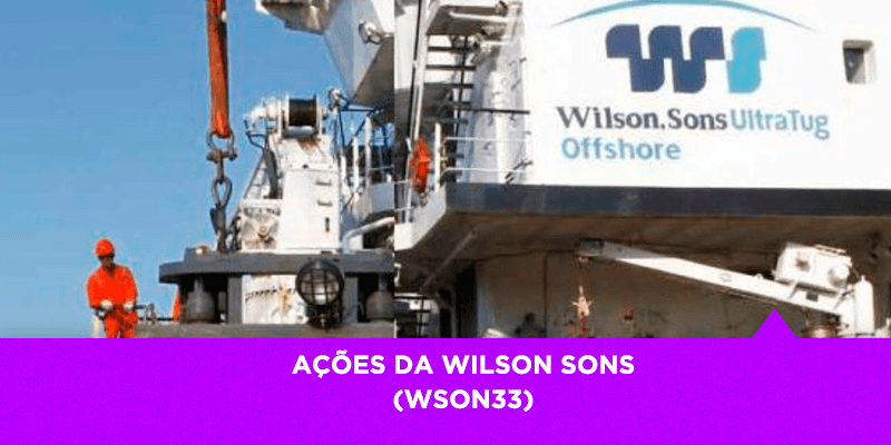 Ações da Wilson Sons - Os Melhores Investimentos
