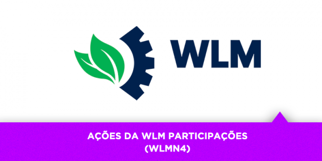 Os Melhores Investimentos – Ações da WLM