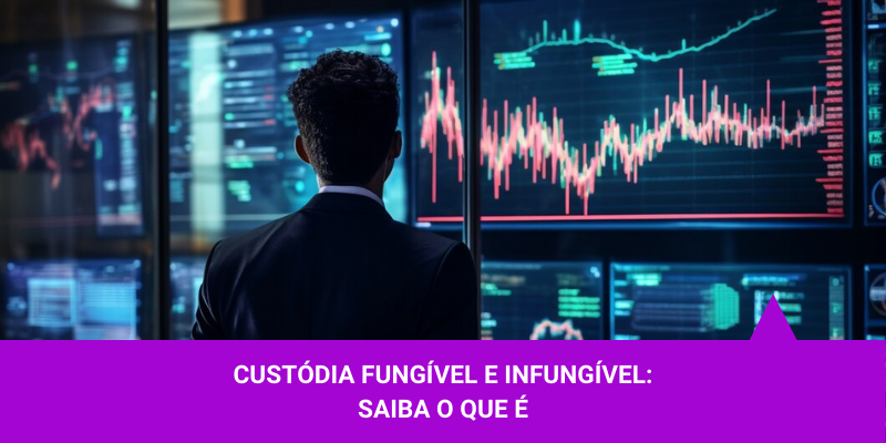 Custódia fungível e infungível saiba o que é – Os Melhores Investimentos Custódia fungível e infungível saiba o que é