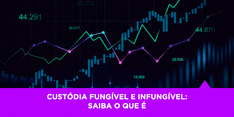 Custódia fungível e infungível saiba o que é