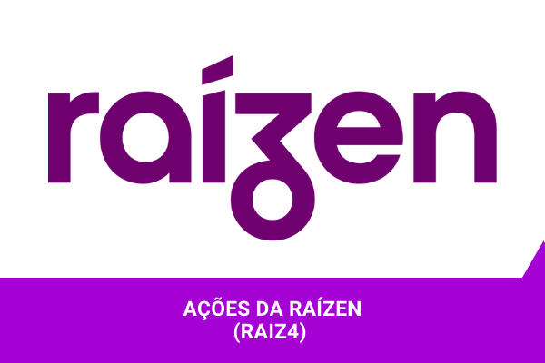 Ações da Raízen - Os Melhores Investimentos