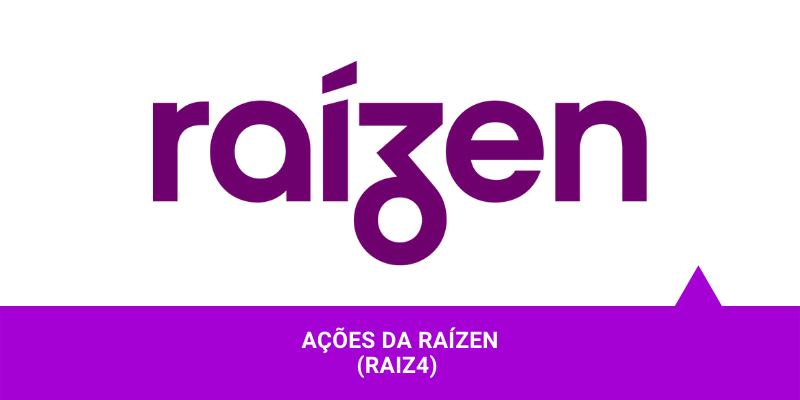 Ações da Raízen - Os Melhores Investimentos