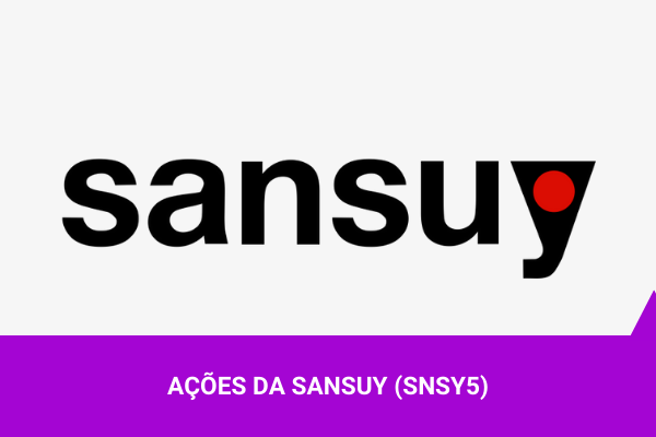 Ações da Sansuy - Os Melhores Investimentos