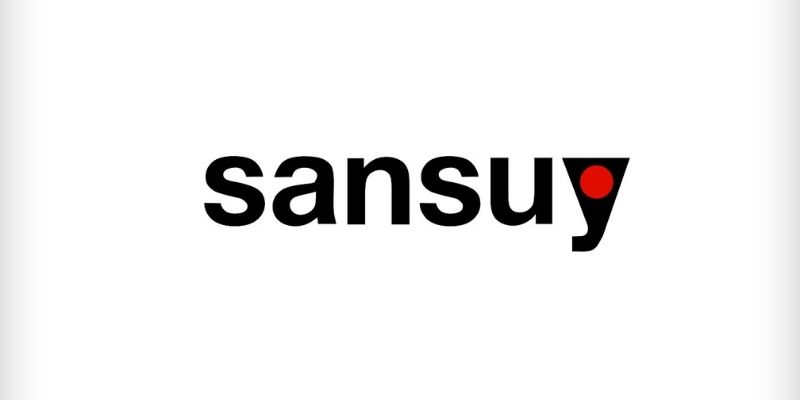 Ações da Sansuy - Os Melhores Investimentos 