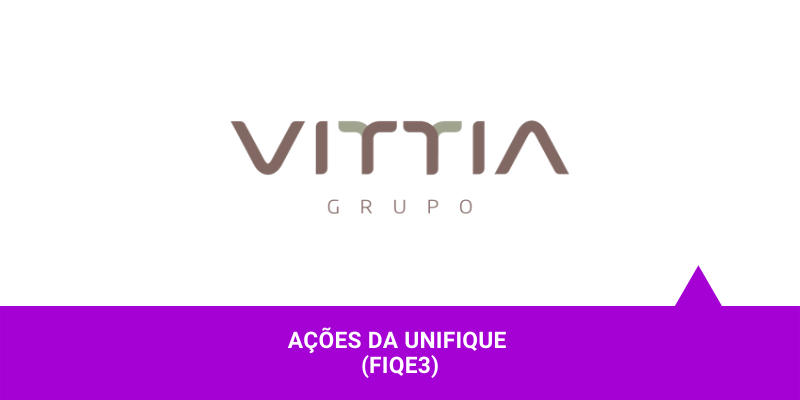 Os Melhores Investimentos - Ações da Vittia