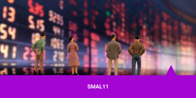 SMAL11 – Os Melhores Investimentos