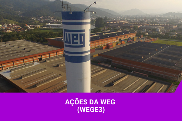 Ações da Weg - Os Melhores Investimentos